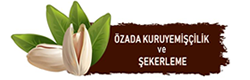 OZADA KURUYEMİS- logo